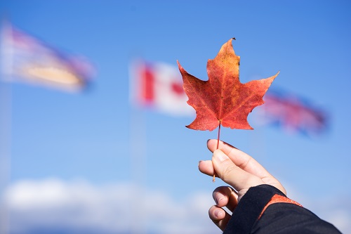 加拿大国际物流沦陷！邮政分拣基地新增加确诊患者，运送再延时